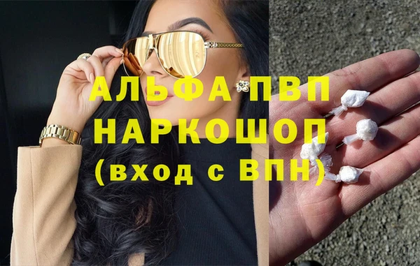 ПСИЛОЦИБИНОВЫЕ ГРИБЫ Дмитриев