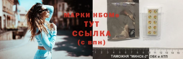 гашик Дмитровск