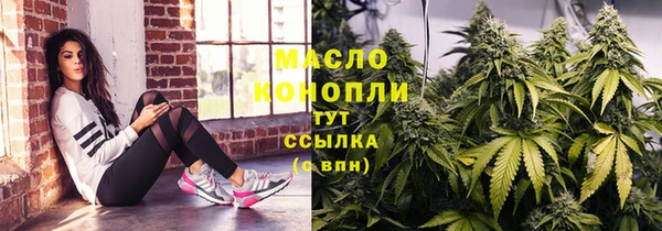 гашик Дмитровск