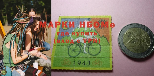 ПСИЛОЦИБИНОВЫЕ ГРИБЫ Дмитриев