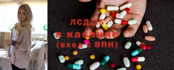 ПСИЛОЦИБИНОВЫЕ ГРИБЫ Дмитриев