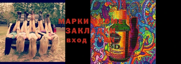 гашик Дмитровск