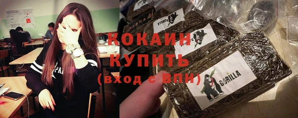 ПСИЛОЦИБИНОВЫЕ ГРИБЫ Дмитриев