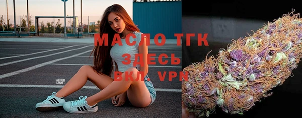 ПСИЛОЦИБИНОВЫЕ ГРИБЫ Дмитриев
