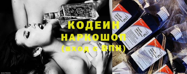 гашик Дмитровск