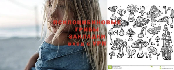 гашик Дмитровск