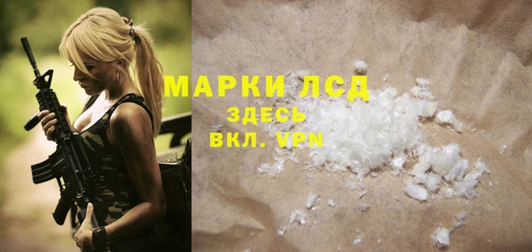 ПСИЛОЦИБИНОВЫЕ ГРИБЫ Дмитриев
