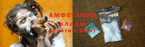 ПСИЛОЦИБИНОВЫЕ ГРИБЫ Дмитриев