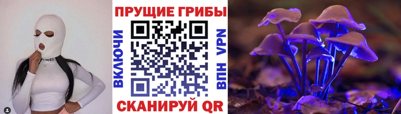 Галлюциногенные грибы мухоморы купить цена Красногорск